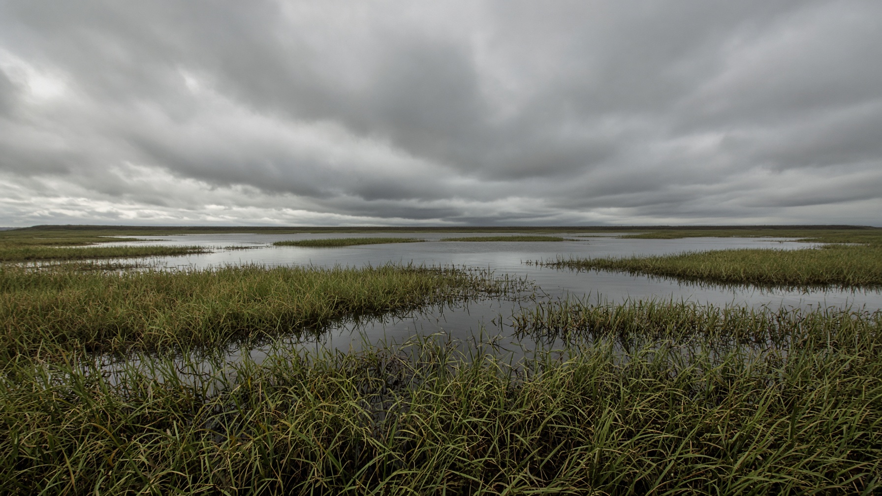 Lake Okeechobee and sawgrass under a heavy overcast sky, a thin earthen dike on the far shore.